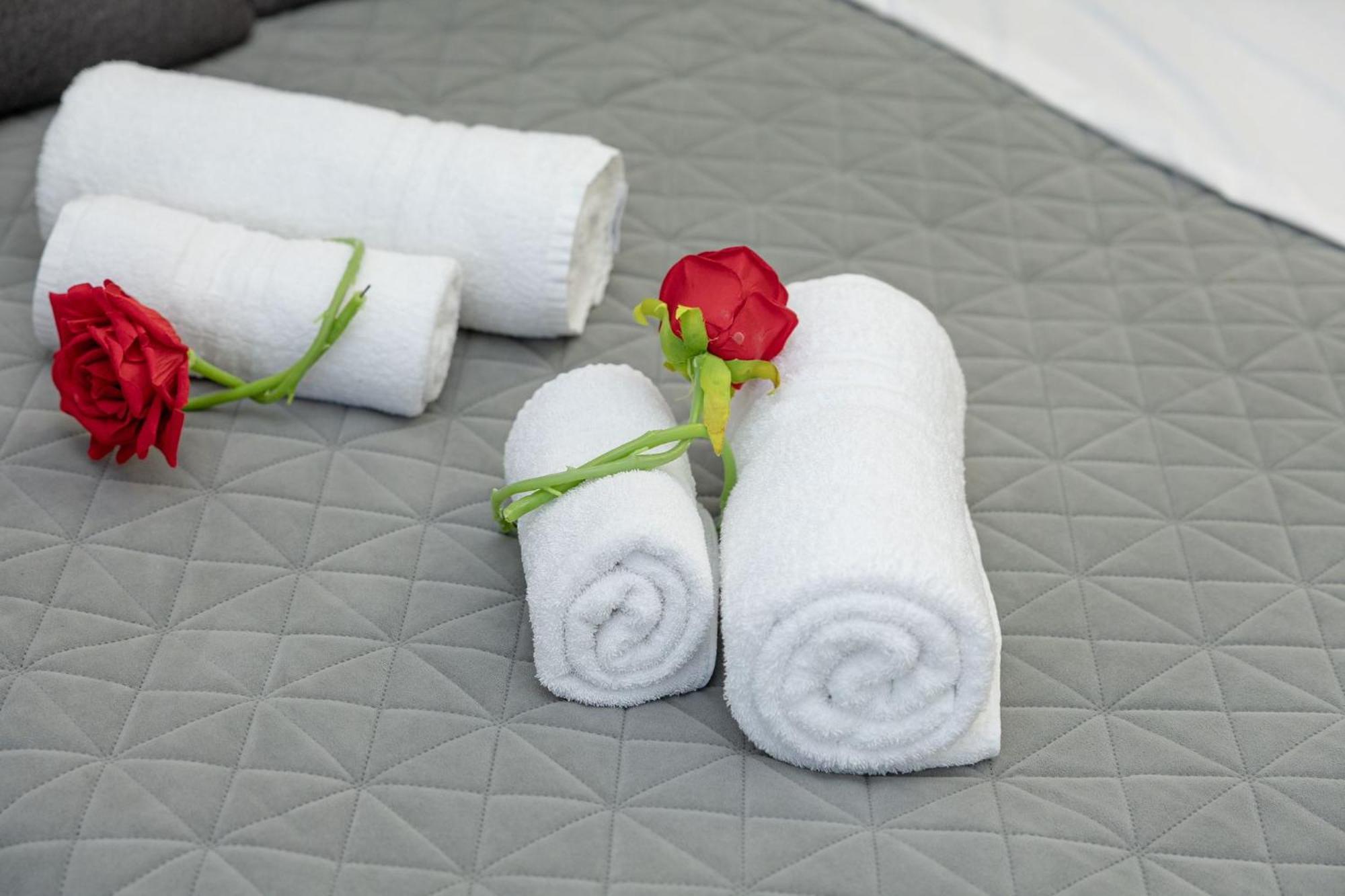 Appartamento Red Roses Domus Roma